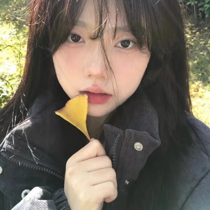 油毡